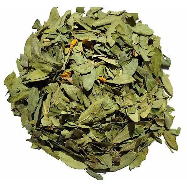 Feuilles de Jujubier (Sidr) du Maroc pour la Santé et la Beauté - nilabeautys.com