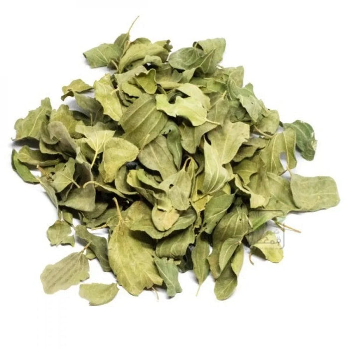 Feuille de Jujubier (Sidr) : Bienfaits, Utilisations et Où l'Acheter