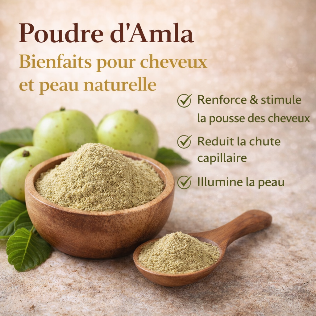 Poudre d’Amla : bienfaits, utilisation et soin naturel pour cheveux et peau
