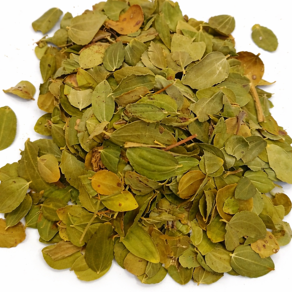 Feuille de Jujubier : Bienfaits, Utilisation et Vertus Spirituelles en Islam