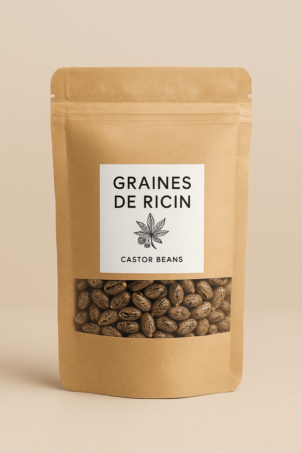 Acheter des Graines de Ricin : Le Point de Départ – Guide 2026