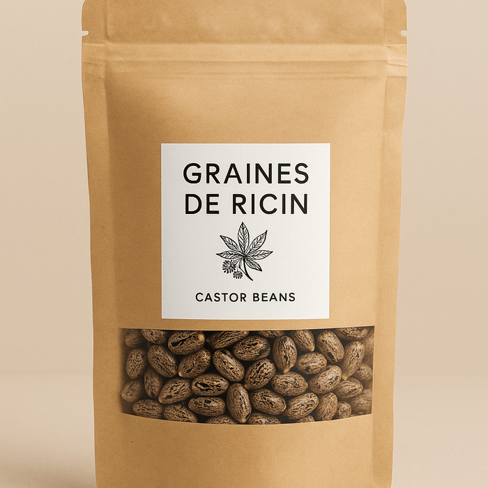 Acheter des Graines de Ricin : Le Point de Départ de Vos Soins Naturels - nilabeautys.com