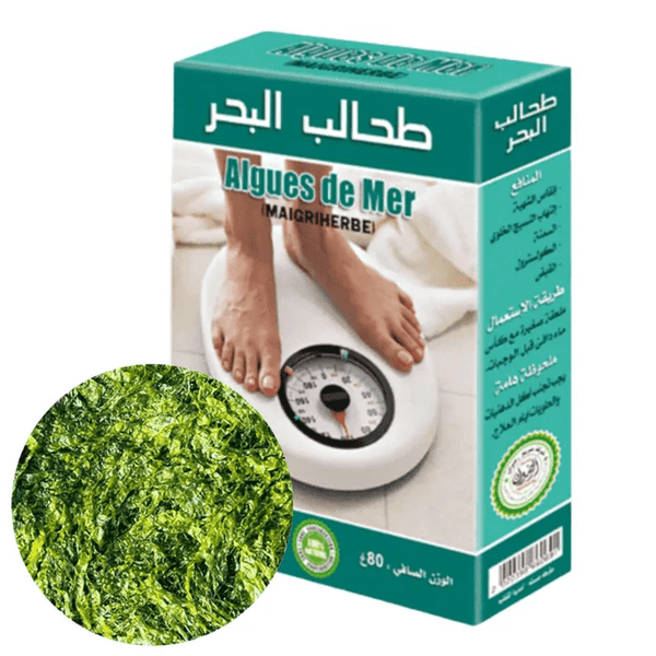 Algues de Mer – Santé et Beauté Naturelle – Guide 2026