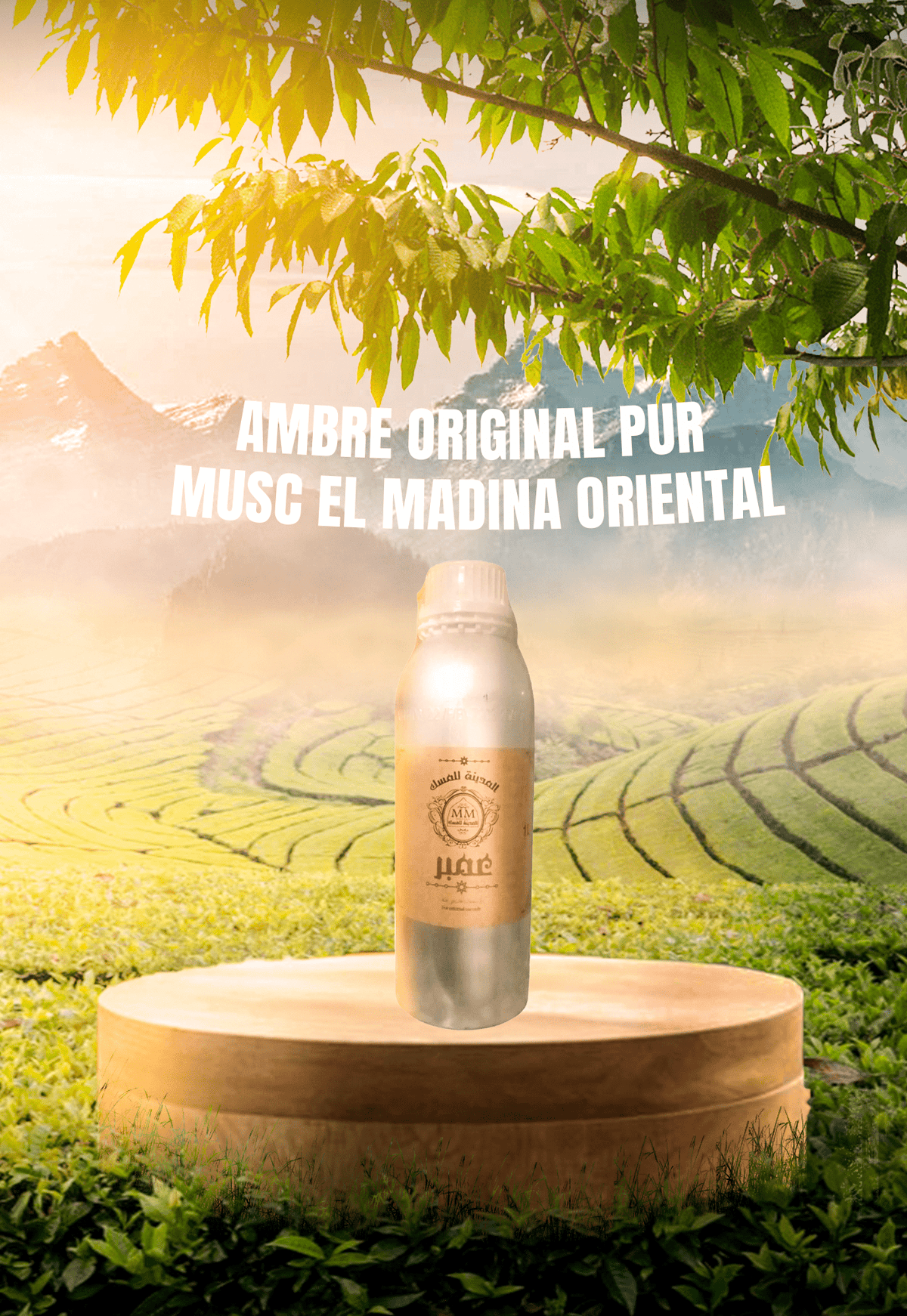 Ambre Original Pur – Guide 2026