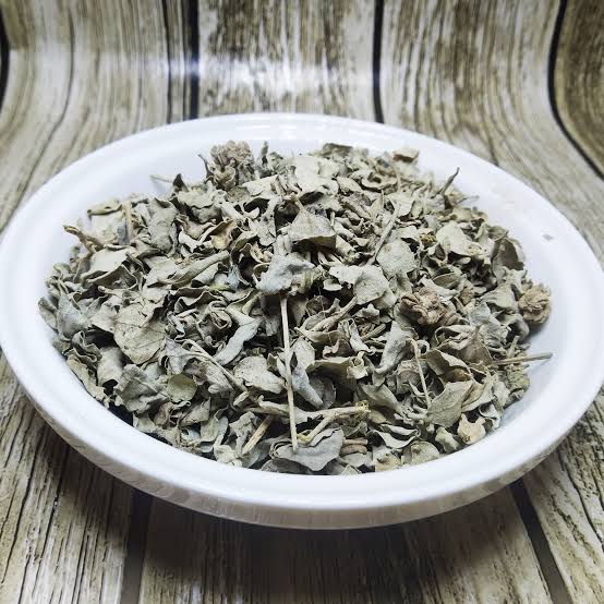 Atriplex Halimus et fertilité El Qtaf – Guide 2026