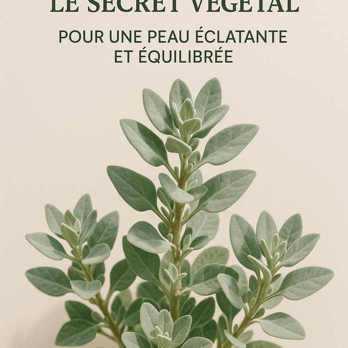 Atriplex Halimus : Le secret végétal pour une peau éclatante et équilibrée - nilabeautys.com