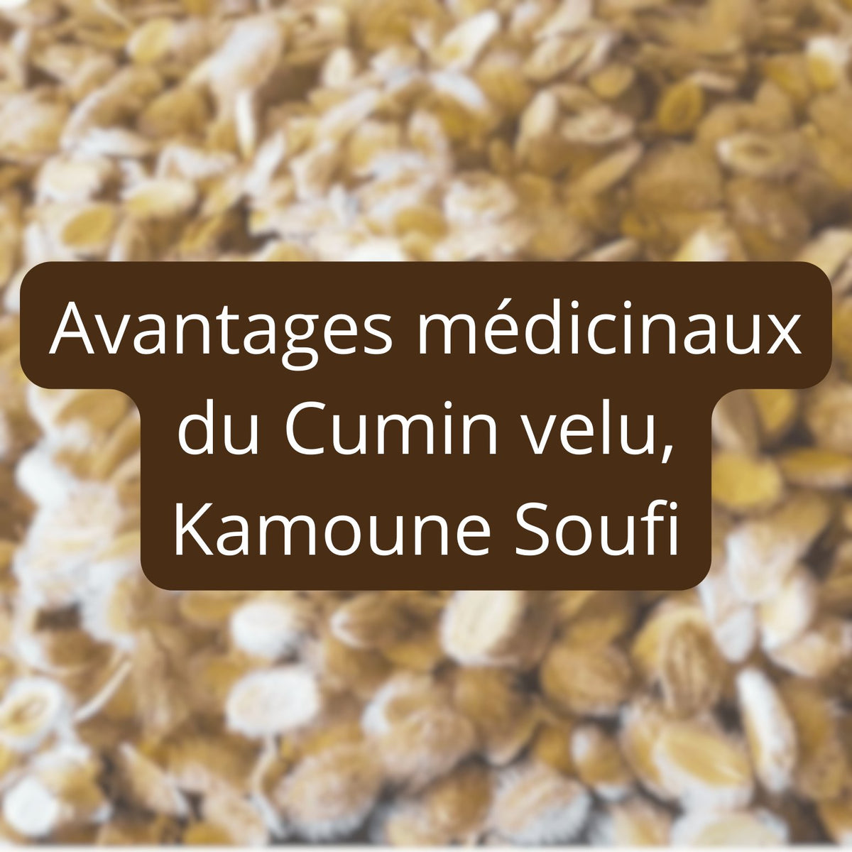 Avantages médicinaux du Cumin velu, Kamoune Soufi – Guide 2026