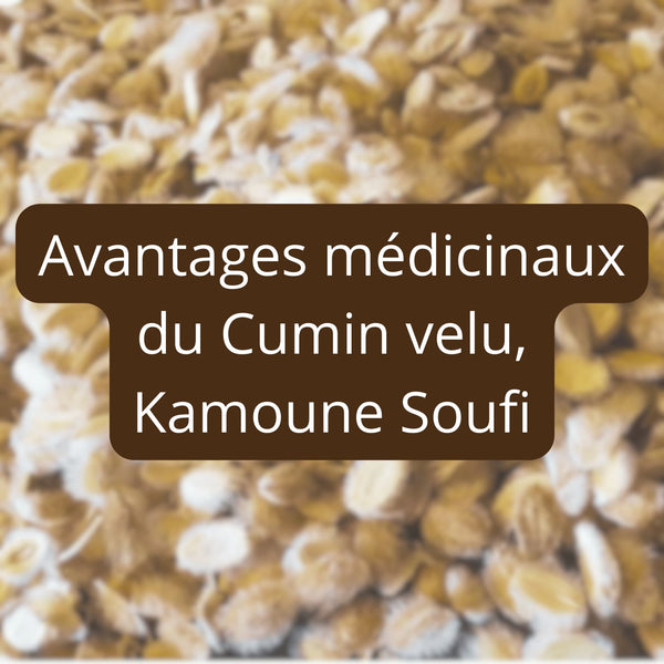 Avantages médicinaux du Cumin velu, Kamoune Soufi – Guide 2026