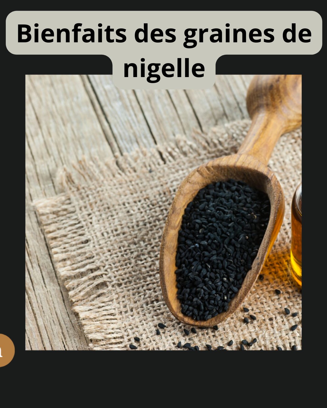 Bienfaits des graines de nigelle Haba Sawda El baraka – Guide 2026