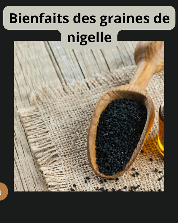 Bienfaits des graines de nigelle Haba Sawda El baraka – Guide 2026