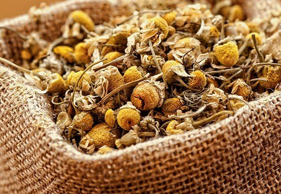 Camomille Séchée – Infusion Relaxante & Soin Naturel – Guide 2026