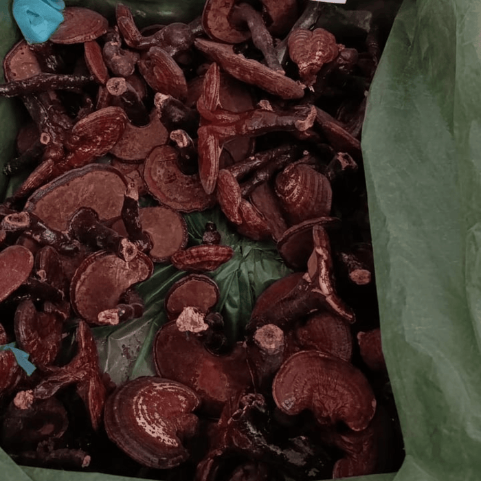 Champignon Reishi : Un Trésor Naturel pour la Santé et le Bien-être - nilabeautys.com