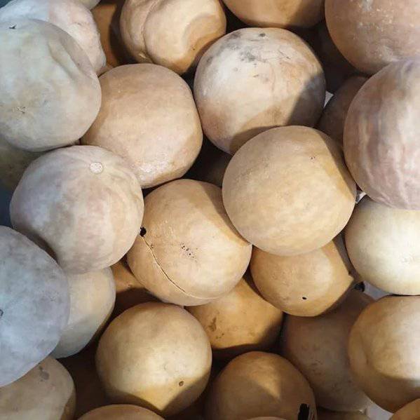 Coloquinte Vraie Séchée (El Handal) 100% Pure - Solution – Guide 2026