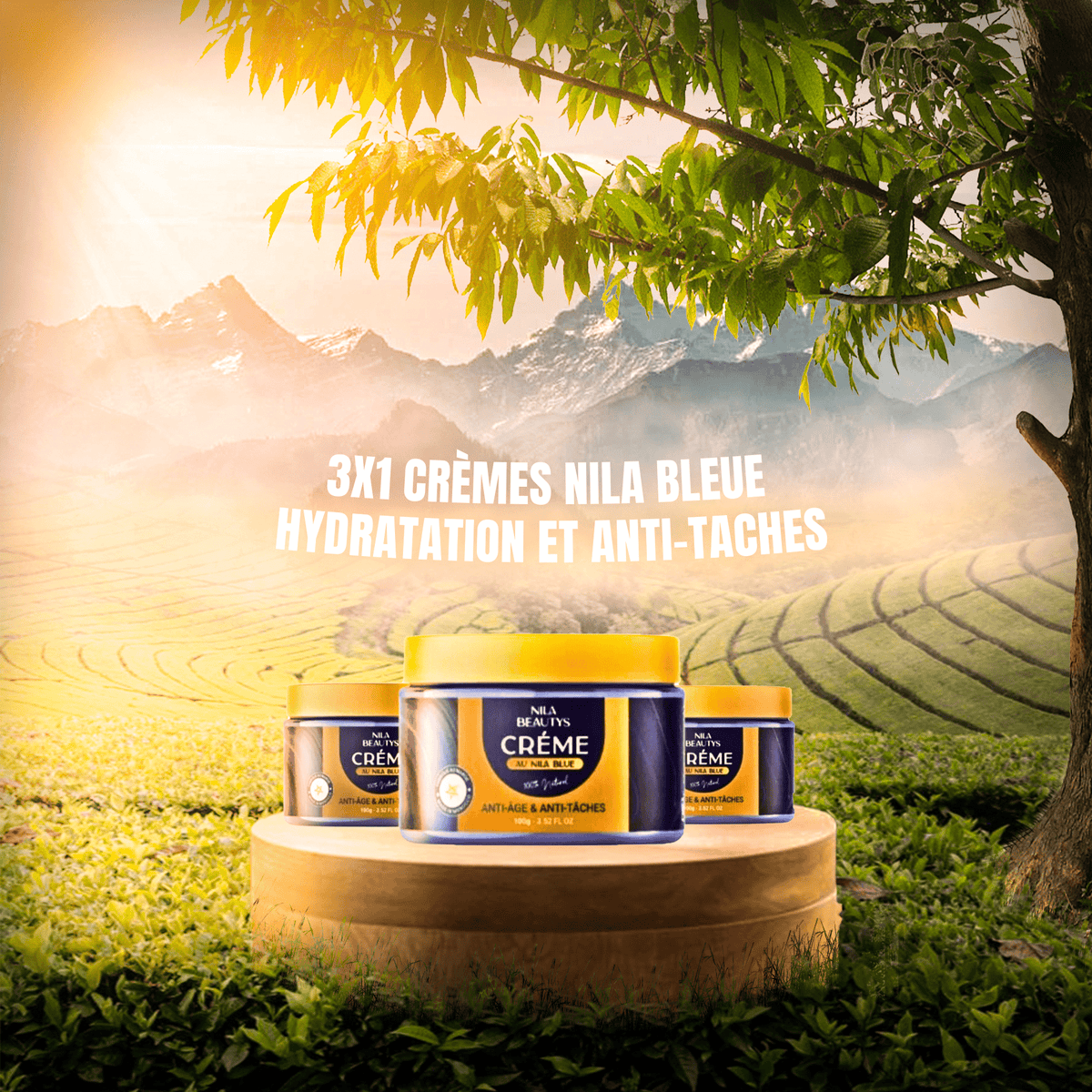 Crèmes Nila Bleue – Guide 2026