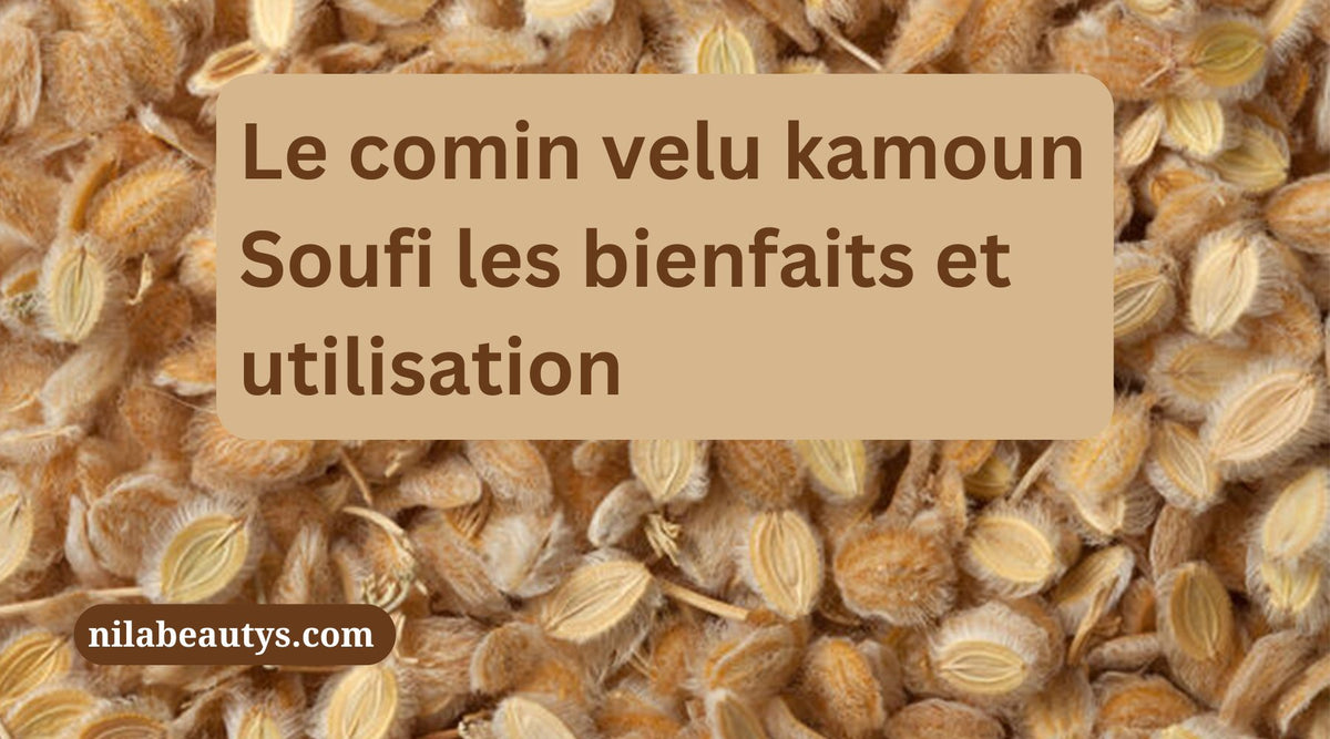 Cumin velu Kamoune Soufi mystique : bienfaits – Guide 2026