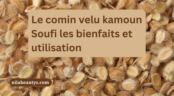 Cumin velu Kamoune Soufi mystique : bienfaits – Guide 2026