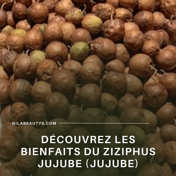 Découvrez les bienfaits du Ziziphus jujube (Jujube) – Guide 2026