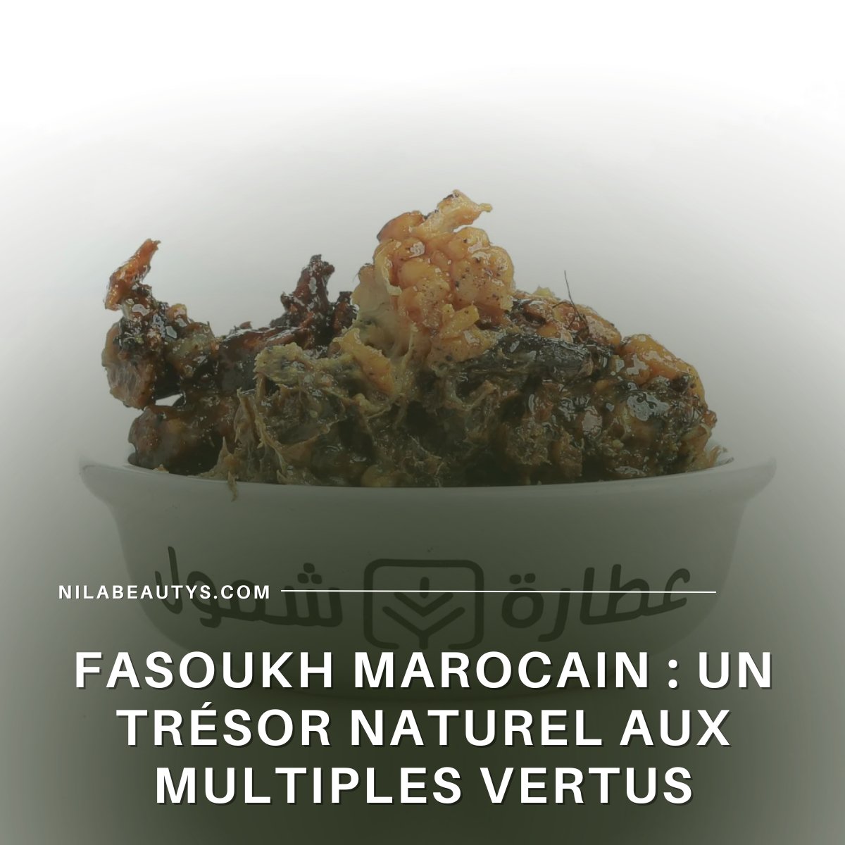 Fasoukh Marocain : Un Trésor Naturel aux Multiples Vertus – Guide 2026
