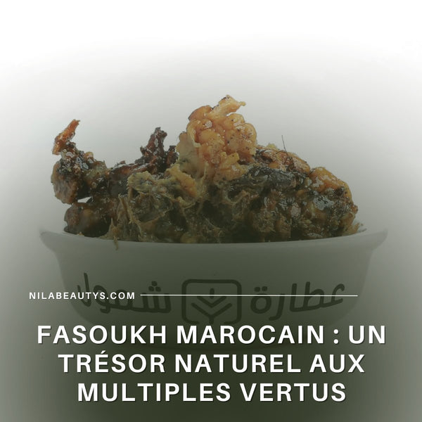 Fasoukh Marocain : Un Trésor Naturel aux Multiples Vertus – Guide 2026