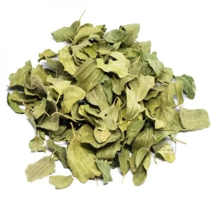 Feuille de Jujubier (Sidr) : Bienfaits, Utilisations - nilabeautys.com