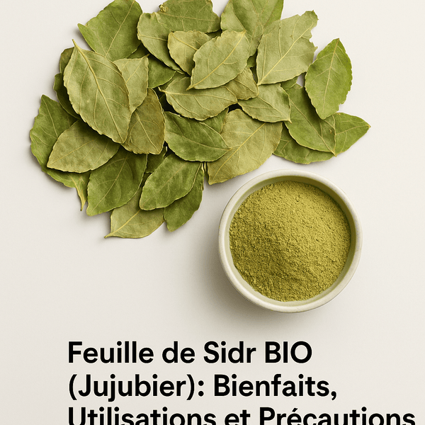 Feuille de Sidr BIO (Jujubier) : Bienfaits, Utilisations – Guide 2026