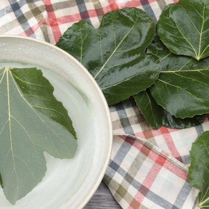 Feuilles de figuier séchées : bienfaits, utilisation et vertus naturelles - nilabeautys.com