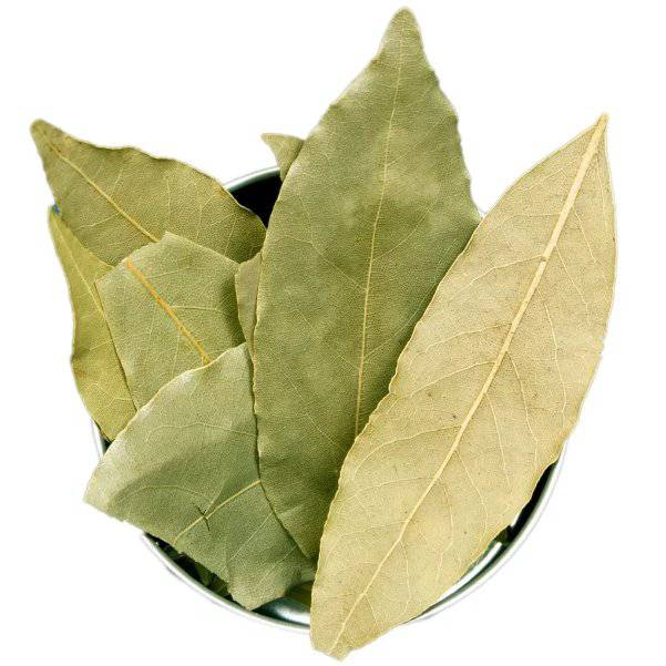 Feuilles de Laurier Al Ghar 100% Naturelles - Bienfaits – Guide 2026