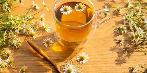 Fleurs de Camomille Séchées : Bienfaits, Utilisations – Guide 2026