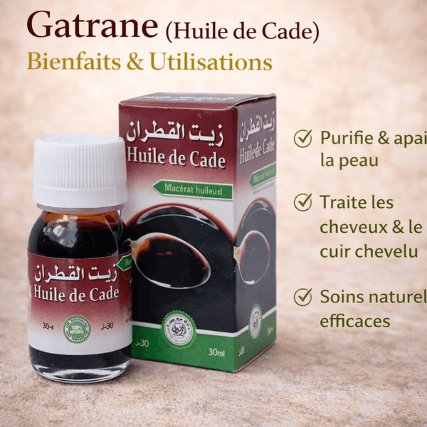 Gatrane (Gatran, Katran) : Guide complet sur l’huile de Cade