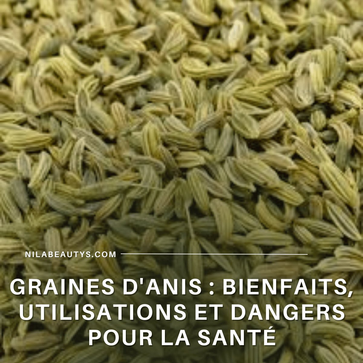 Graines d'anis : Bienfaits, Utilisations et Dangers – Guide 2026