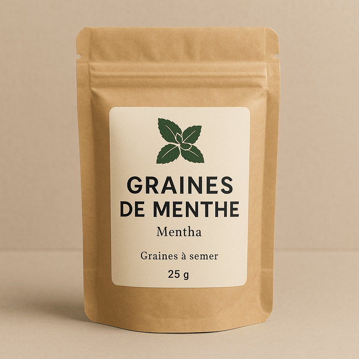 Graines de Menthe : Un trésor aromatique et médicinal à faire pousser chez soi - nilabeautys.com