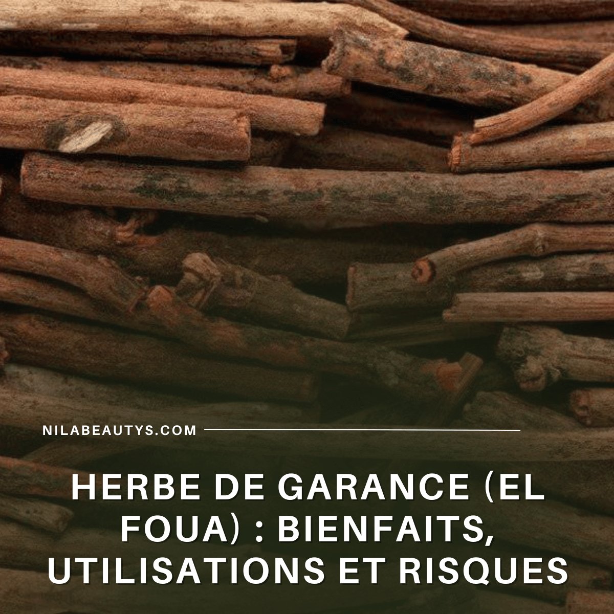 Herbe de Garance (El Foua) : Bienfaits, Utilisation – Guide 2026