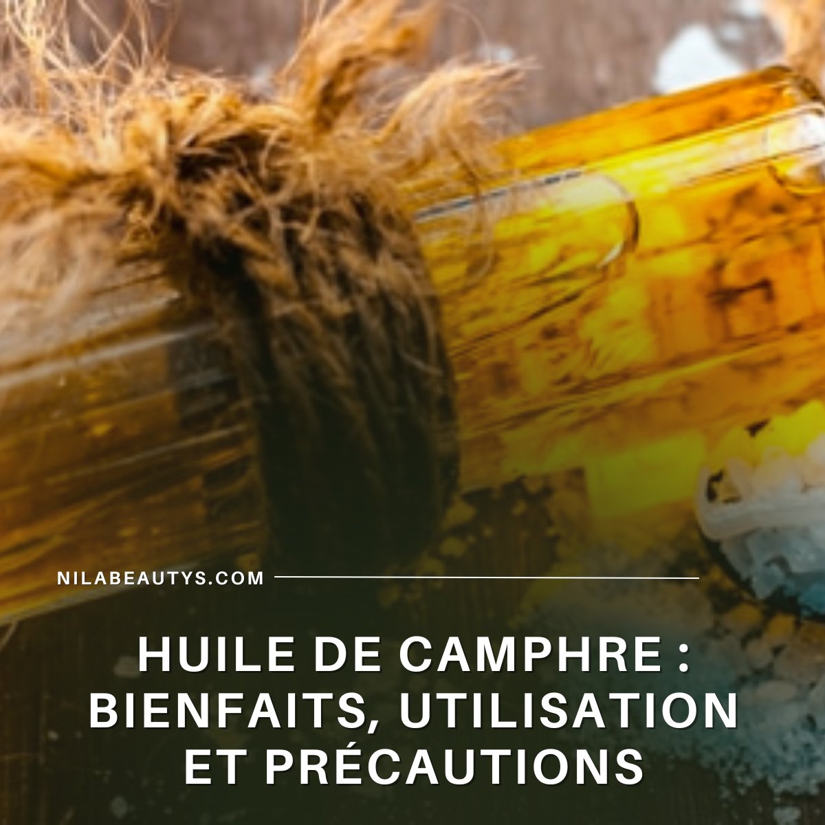 Huile de Camphre : Bienfaits, Utilisation et Précautions – Guide 2026