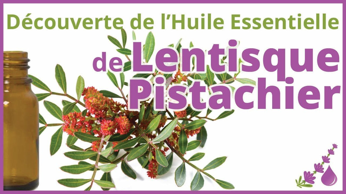 Huile de Lentisque Pistachier : Un Trésor Naturel – Guide 2026