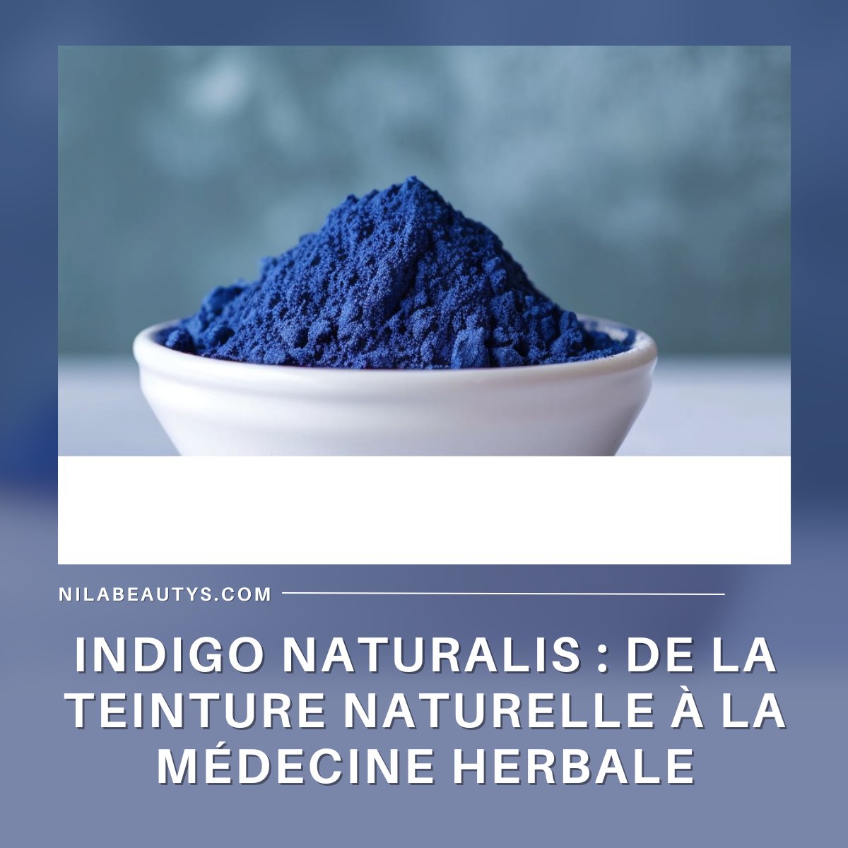 Indigo Naturalis : De la Teinture Naturelle à la Médecine – Guide 2026