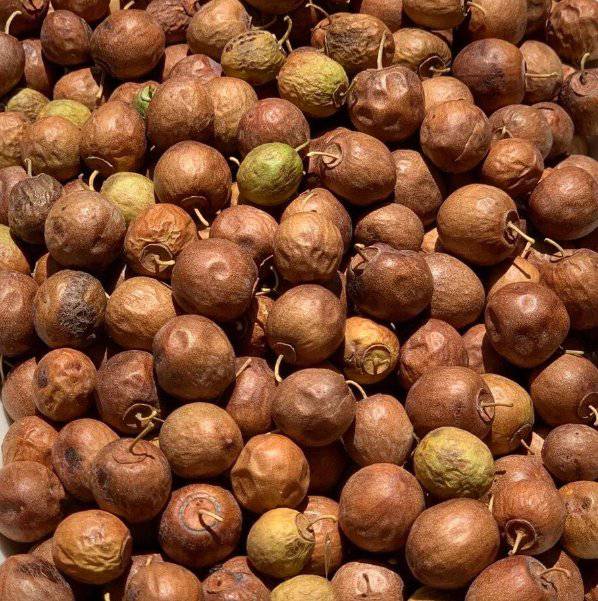 🌿 Jujube Naturel (Al Nabaq) – Un Superfruit – Guide 2026
