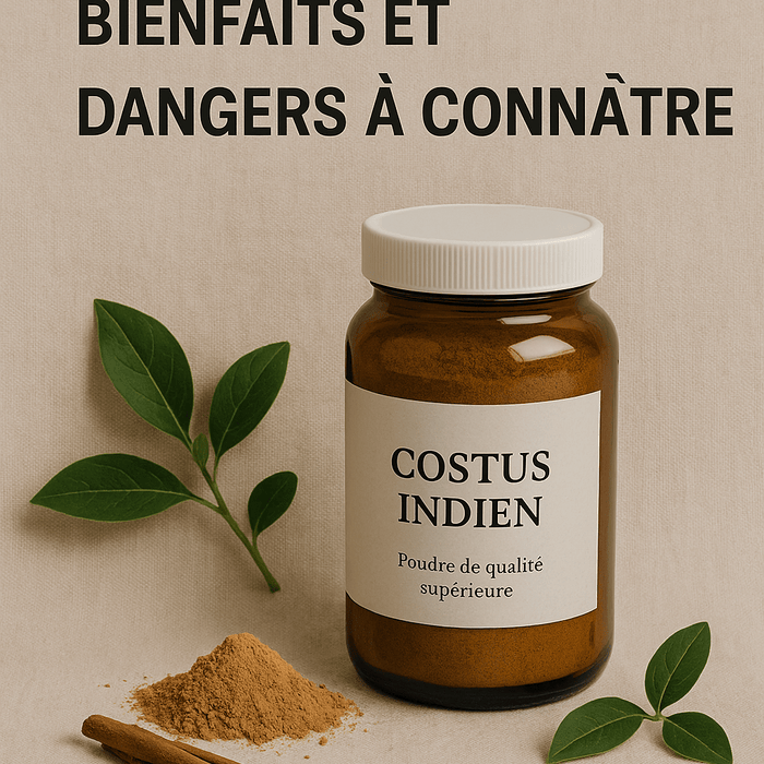Le Costus Indien : Bienfaits puissants mais précautions nécessaires - nilabeautys.com