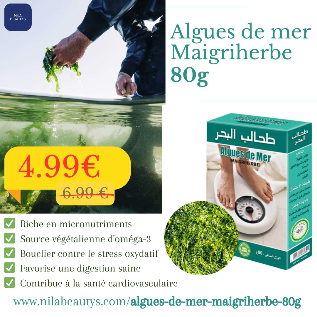 Les algues de mer Maigriherbe – Guide 2026