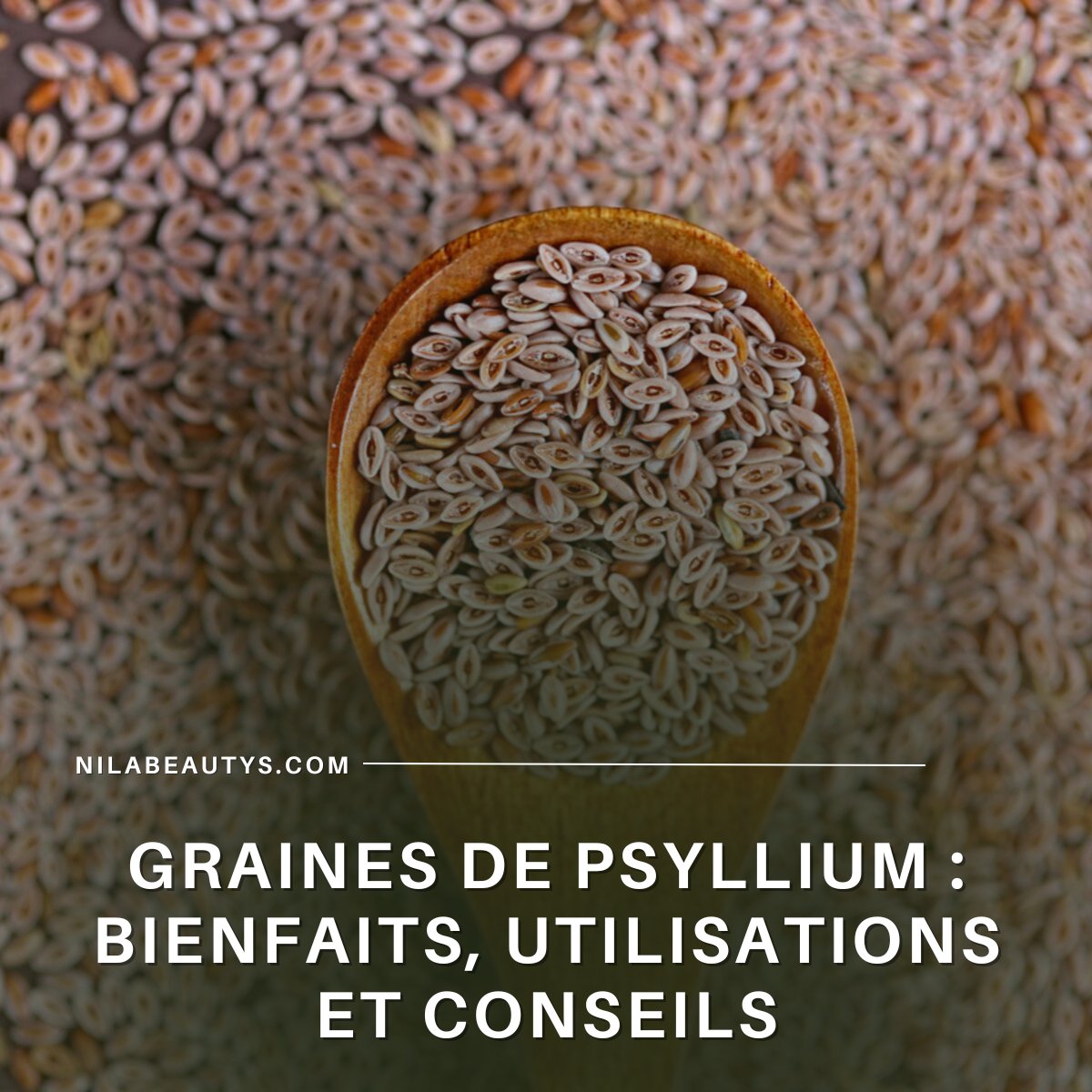 Les Bienfaits des Graines de Psyllium en Arabie Saoudite – Guide 2026