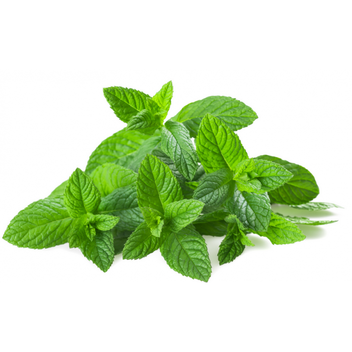 Pouliot Menthe : Bienfaits, Utilisations et Où l'Acheter en Ligne