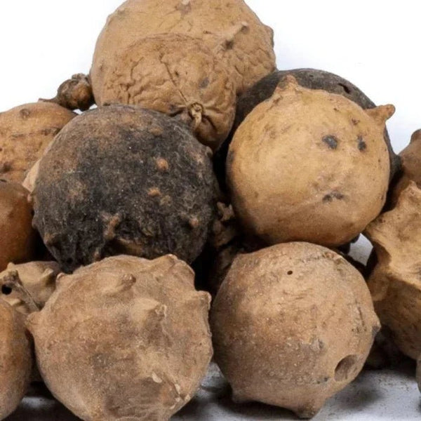 Noix de Galle 50g, 100g, 250g : Trésor Naturel – Guide 2026