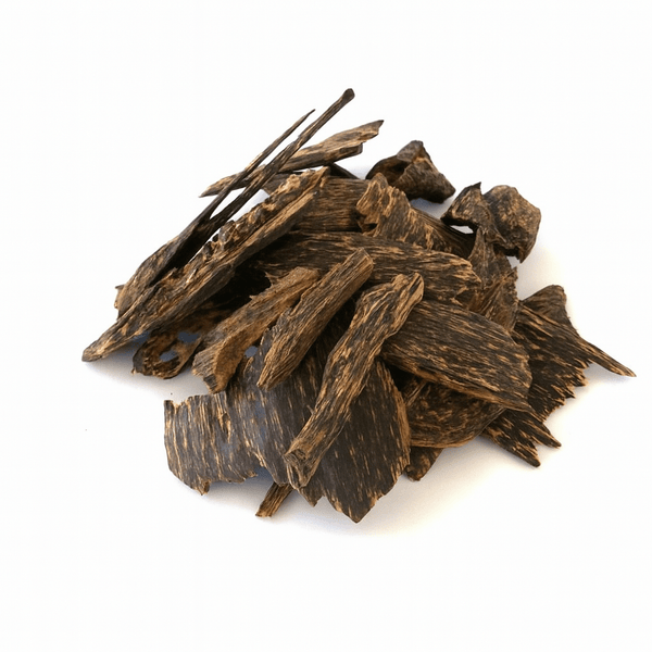 Oud : histoire, variétés et utilisation en parfumerie – Guide 2026