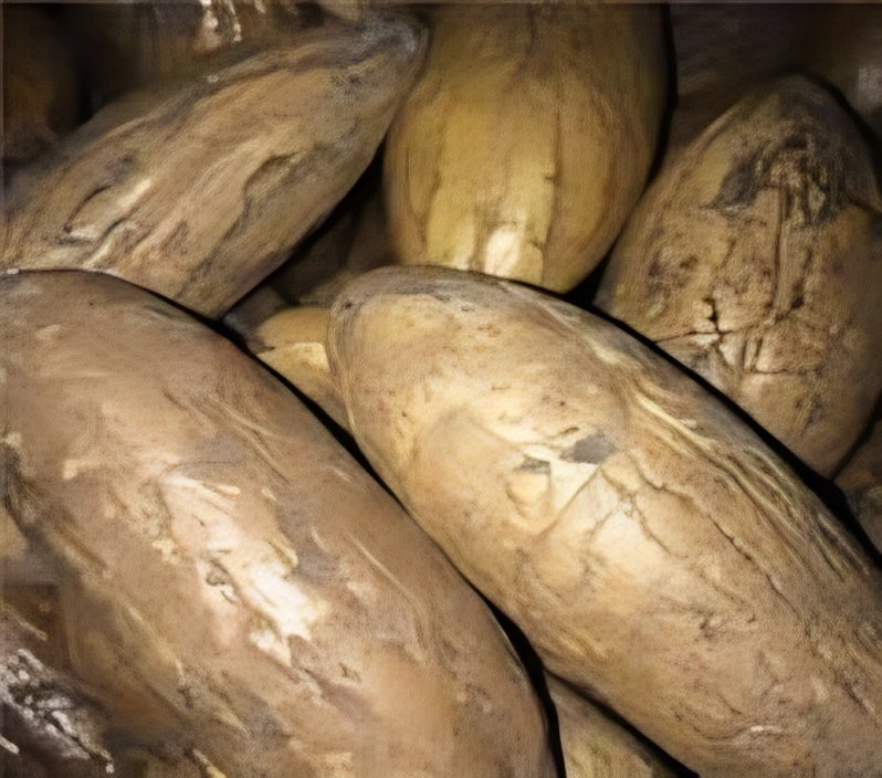 Pierre de Protection Oud El Salib - عود الصليب – Guide 2026