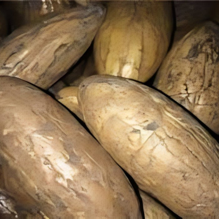 Pierre de Protection Oud El Salib - عود الصليب - nilabeautys.com