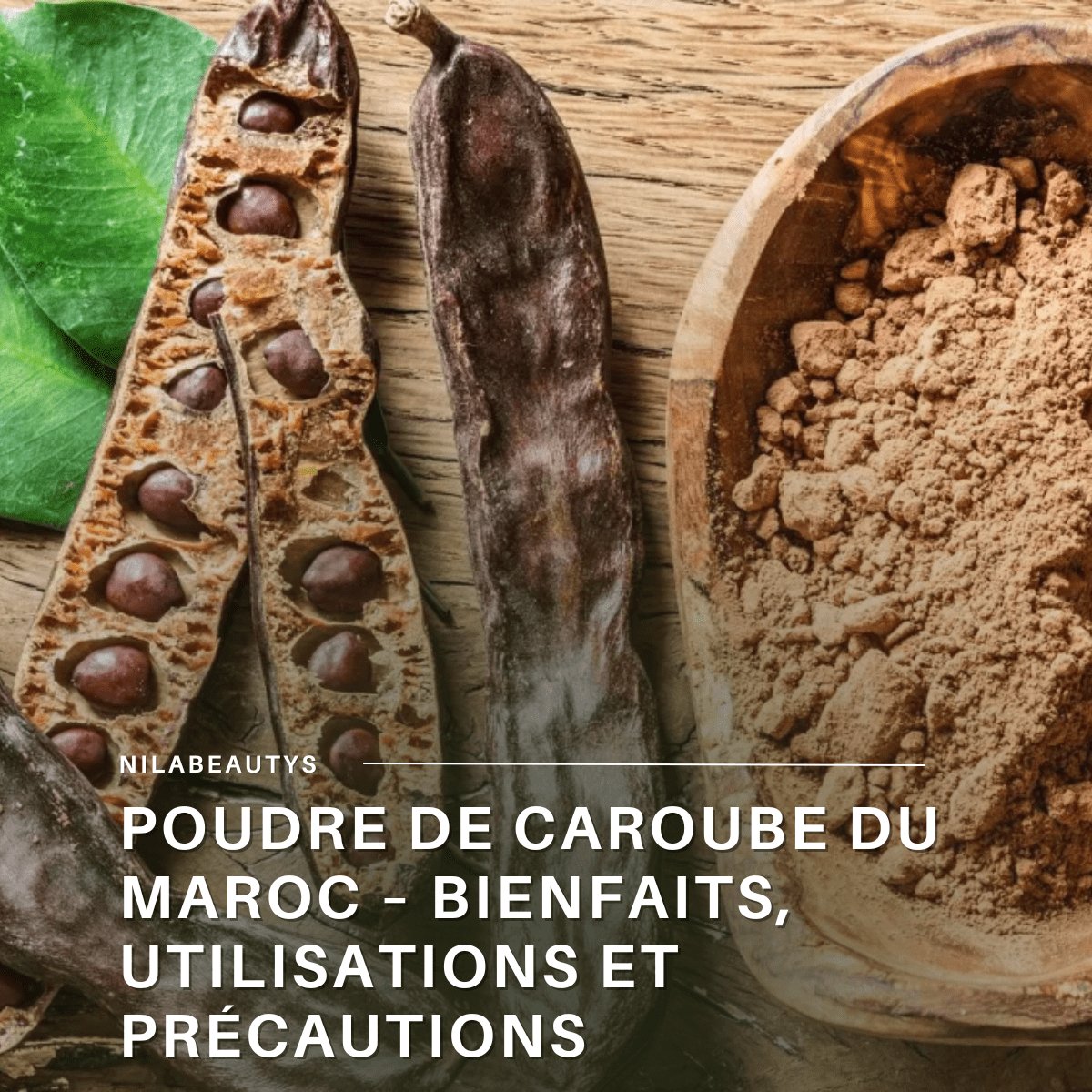 Poudre de Caroube du Maroc – Bienfaits, Utilisations – Guide 2026