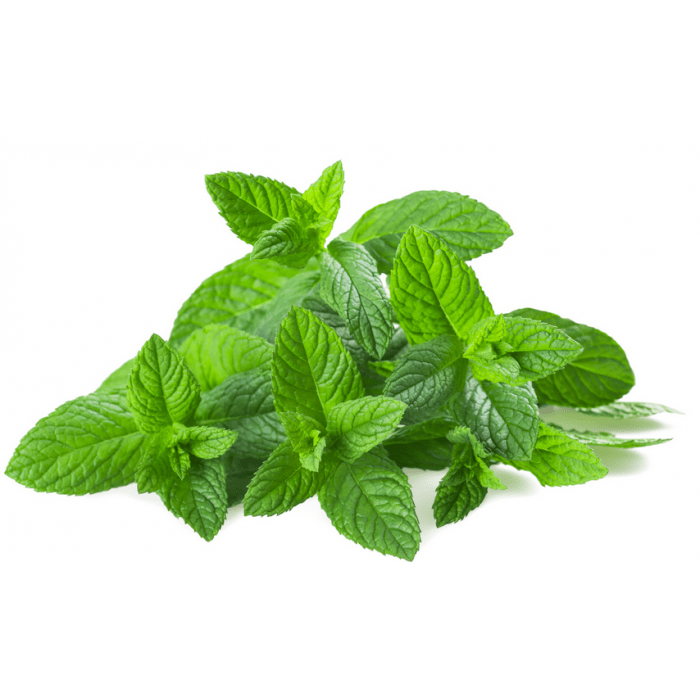 Pouliot Menthe : Bienfaits, Utilisations et Où l'Acheter en Ligne - nilabeautys.com