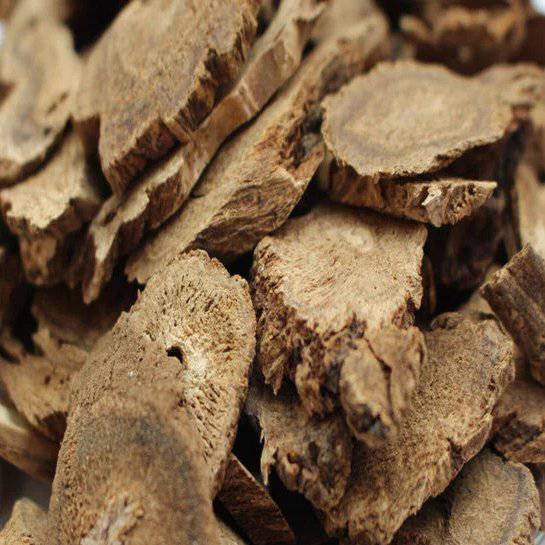 Racines de Costus Indien (Al Qisst) - Soutien Digestif – Guide 2026