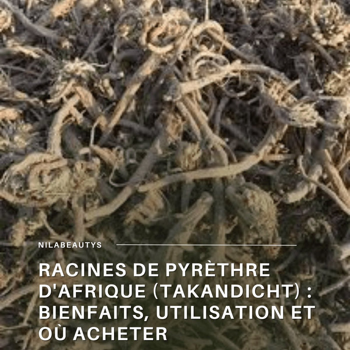 Racines de Pyrèthre d'Afrique (Takandicht) : Bienfaits, Utilisation et Où Acheter - nilabeautys.com