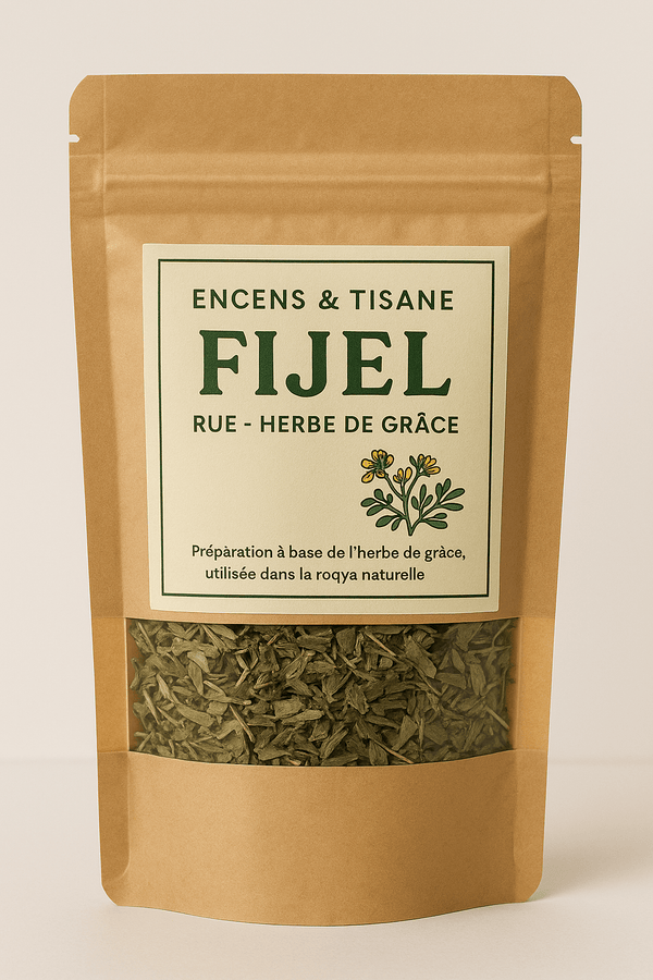 Tisane Fijel : L’Herbe de Grâce au Cœur de la Roqya – Guide 2026