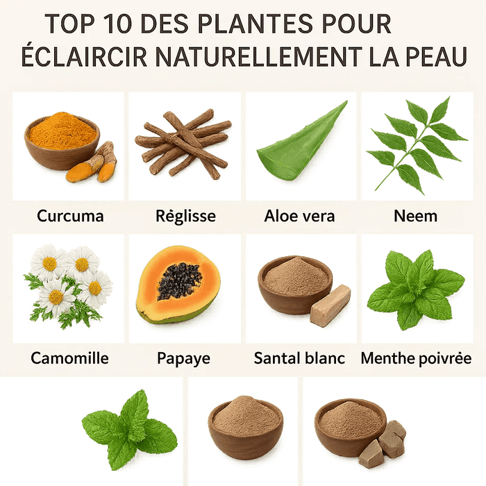 Top 10 des plantes pour éclaircir naturellement la peau - nilabeautys.com